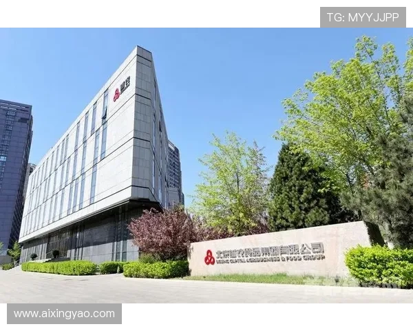 亚星国际集团香港有限公司在香港注册的优势与法律合规指南